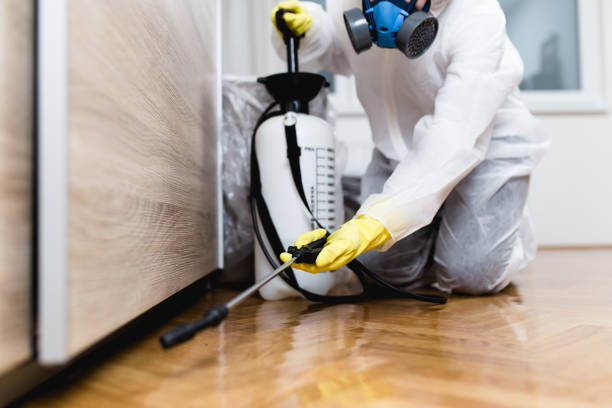 Best Pest Prevention Services  in Union, KY