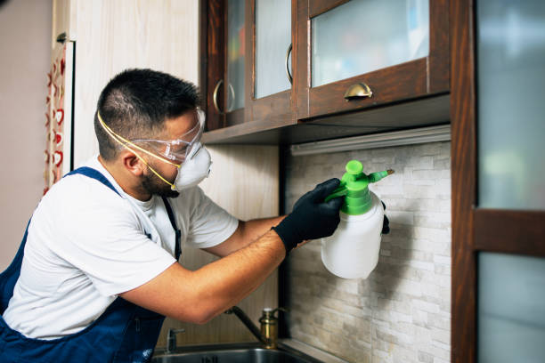 Best Termite Control Services  in Union, KY
