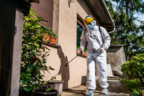 Best Local Pest Control Services  in Union, KY