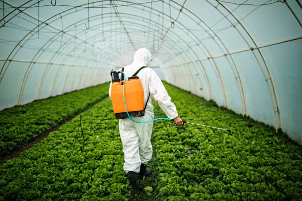 Best Pest Removal Services  in Union, KY