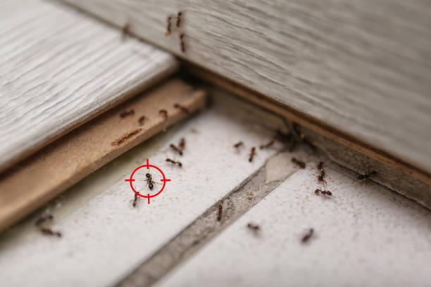 Best Wildlife Control Services  in Union, KY