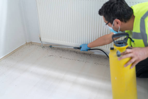 Best Mosquito Control Services  in Union, KY